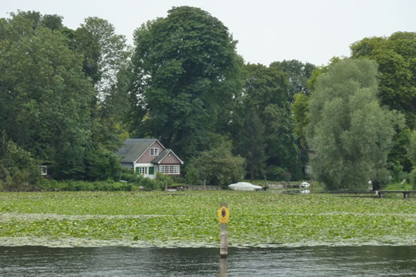 Hausboot mieten Berlin Seerosen entdecken