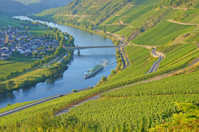 Weinberge an der Mosel bei Trittenheim