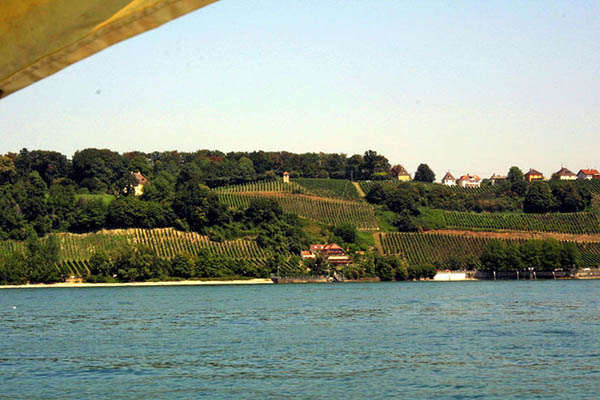 Meersburg Bodensee Weinberge