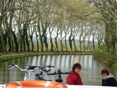 Platanenallee am Canal du Midi