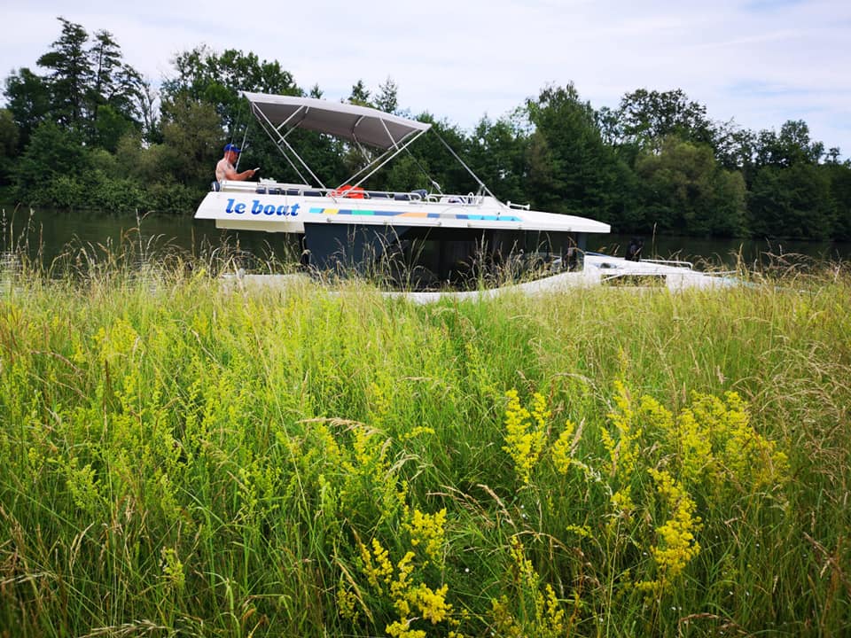 Wild anlegen mit dem Hausboot am Ufer der Saone