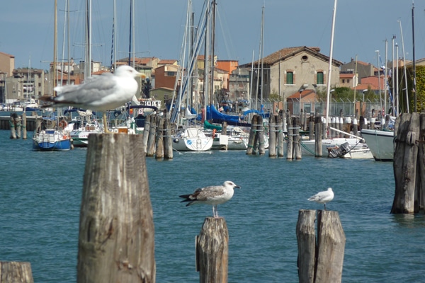 Hafen Chioggia in Italien Lagune Venedig