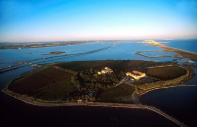 Camargue bei Maguelone