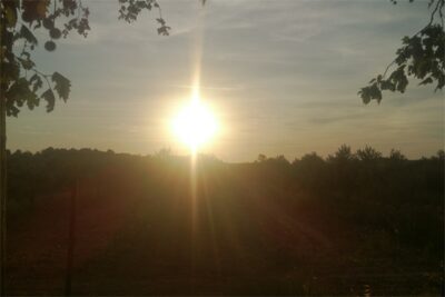 Sonnenuntergang Canal du Midi
