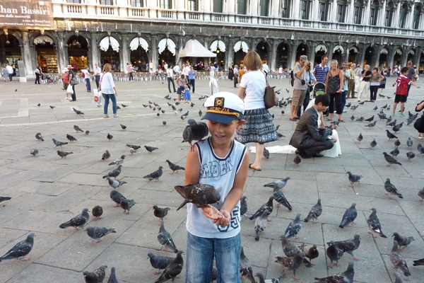 Tauben füttern am Markusplatz