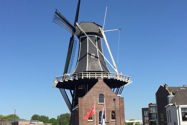 Holland Windmühle Ansicht