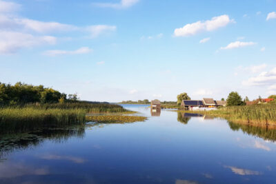 Seerosen und Schilf in Mecklenburg