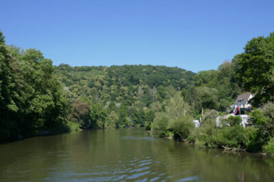 Natur pur auf der Lahn