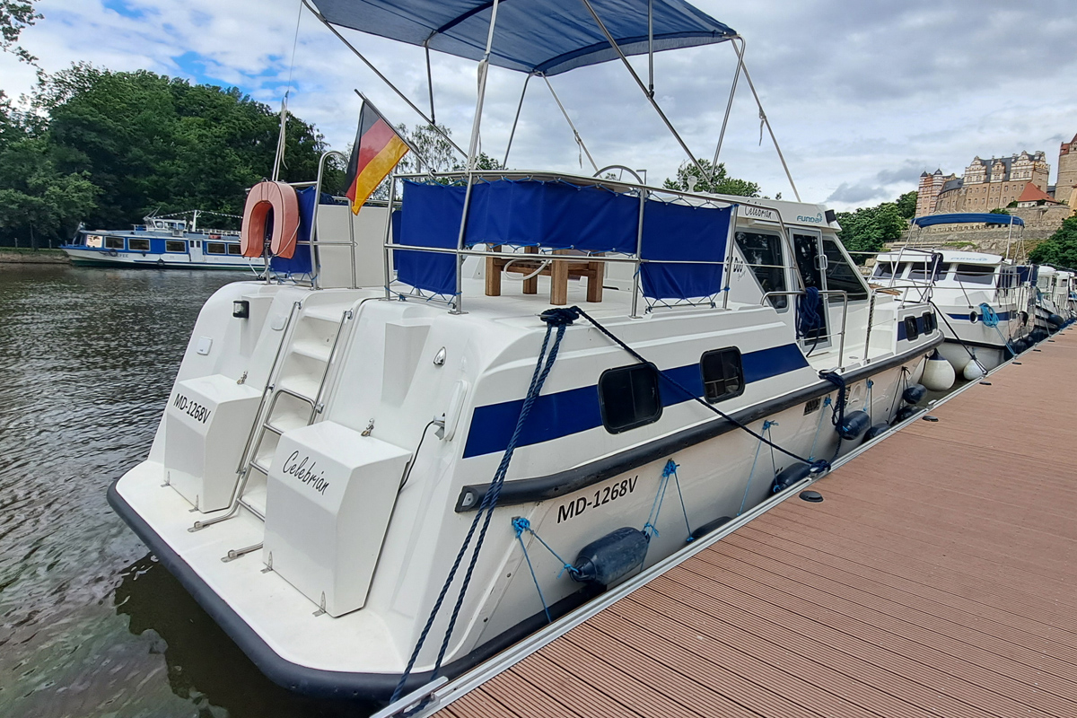 tarpon-37-dp-steg
